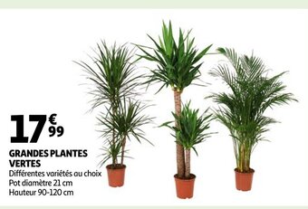 Auchan Grandes Plantes Vertes offre