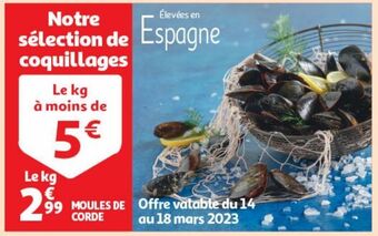 Auchan Supermarché Moules de corde offre