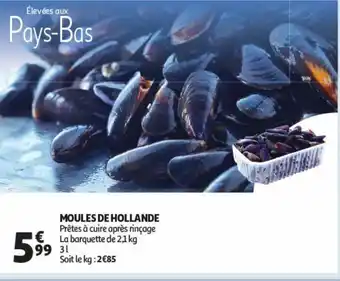 Auchan Supermarché Moules de hollande offre