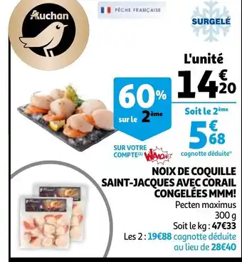 Auchan Noix De Coquille Saint-Jacques Avec Corail offre