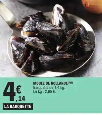 Moule de hollande