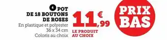 Pot de 18 boutons de roses
