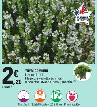 E.Leclerc Thym Commun offre