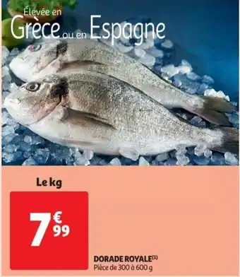 Auchan Dorade Royale offre