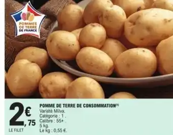 Pomme de terre de consommation