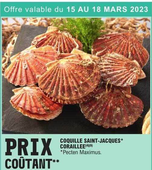 Promo Coquille saintjacques coraillée chez E.Leclerc