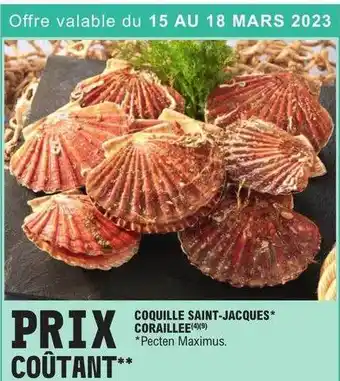 E.Leclerc Coquille saint-jacques coraillée offre