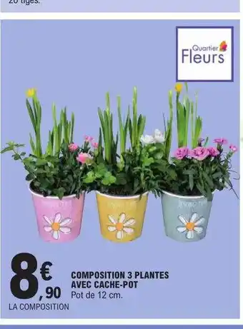 E.Leclerc Composition 3 plantes avec cache-pot offre