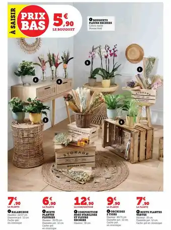 Super U Bouquets fleurs séchées, kalanchoe, mixte plantes fleuries, composition rose stabilisée et fleurs séchées, orchidée 2 tiges, offre