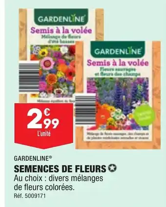 ALDI Semences de Fleurs offre