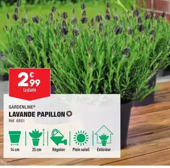 ALDI Lavande Papillon offre