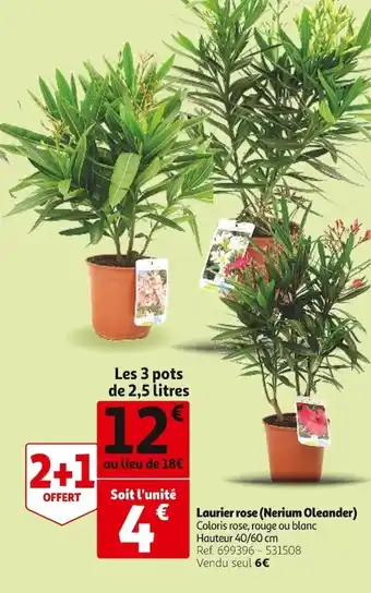 Auchan Laurier Rose (Nerium Oleander) offre