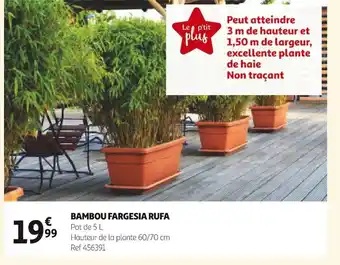 Auchan Bambou Fargesia Rufa offre
