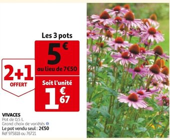 Auchan Vivaces offre