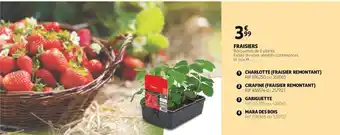 Auchan Fraisiers offre