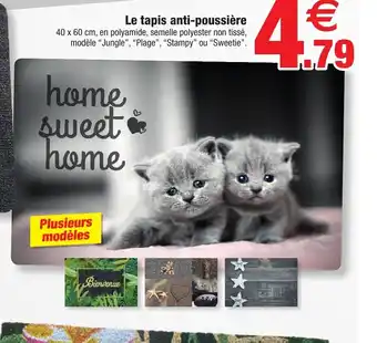Le tapis anti-PoussiĂšre