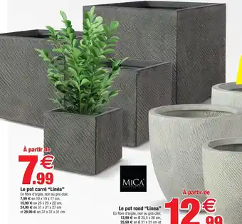 Le Pot carre linea