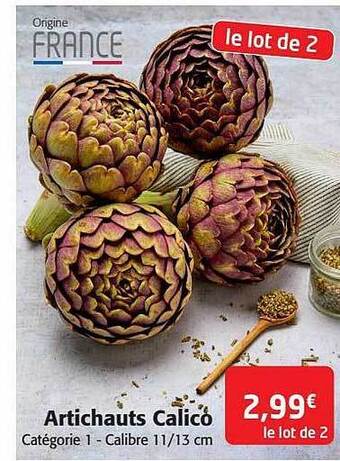 Colruyt Artichauts calico offre