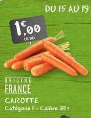 Carotte