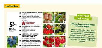 Auchan Petits fruitiers offre