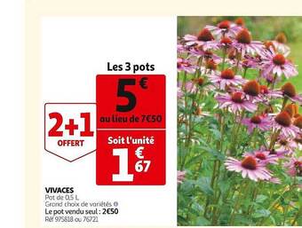 Auchan Vivaces offre