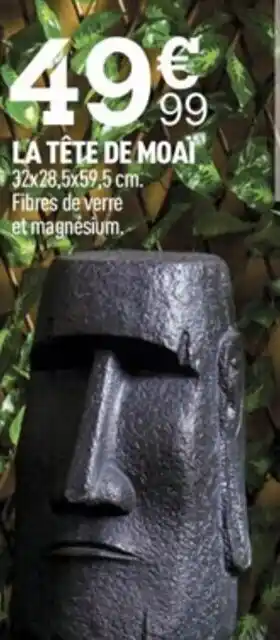 Centrakor La Tête de Moaï offre