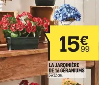 Centrakor La Jardinière de 16 Géraniums offre