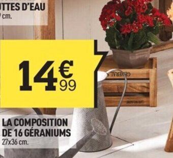 Centrakor La Composition de 16 Géraniums offre