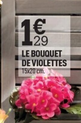 Centrakor Le Bouquet de Violettes offre