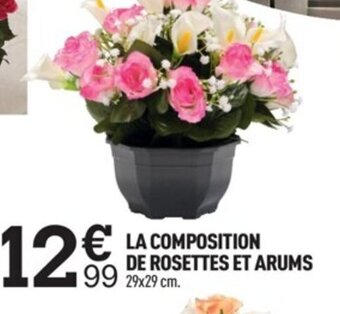 Centrakor La Composition de Rosettes et Arums offre