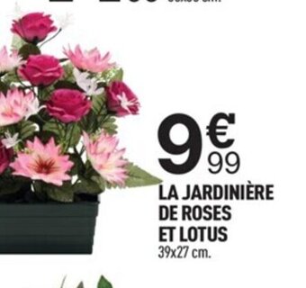 Centrakor La Jardinière de Roses et Lotus offre