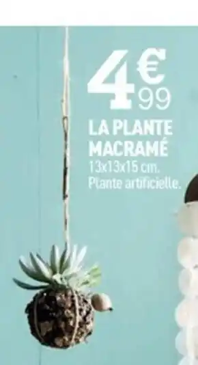 Centrakor La Plante Macramé offre