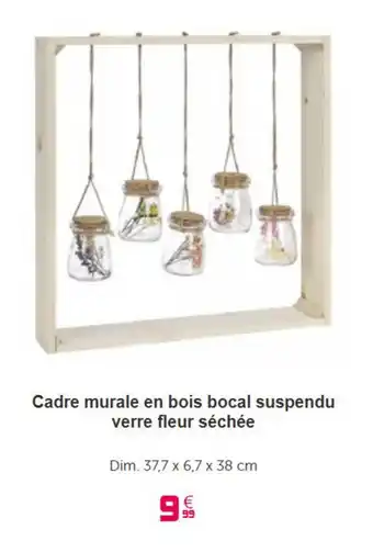 Gifi Cadre murale en bois bocal suspendu verre fleur séchée offre