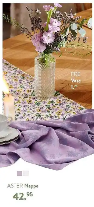 Nappe aster, vase fre
