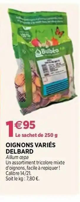 Delbard Oignons variés delbard offre
