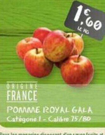 Pomme royal gala