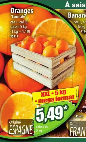 Norma Oranges offre