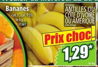 Norma Bananes offre