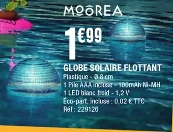 La Foir'Fouille Globe solaire flottant offre