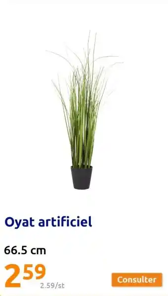 Action Oyat Artificiel 66.5 cm offre