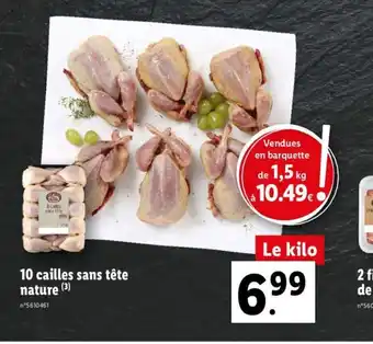 Lidl 10 cailles sans tête nature offre