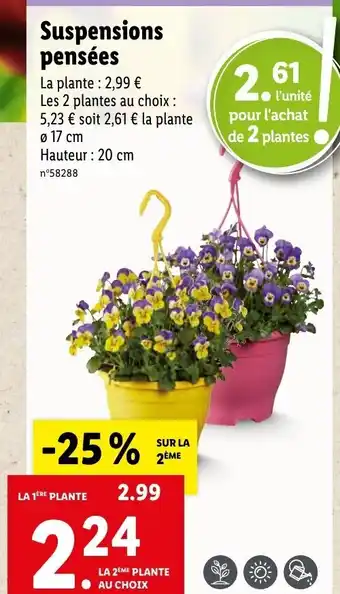 Lidl Suspensions Pensées offre