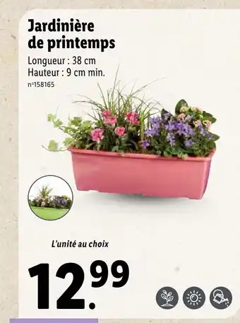 Lidl Jardinière de Printemps offre