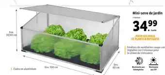 Mini-Serre De Jardin