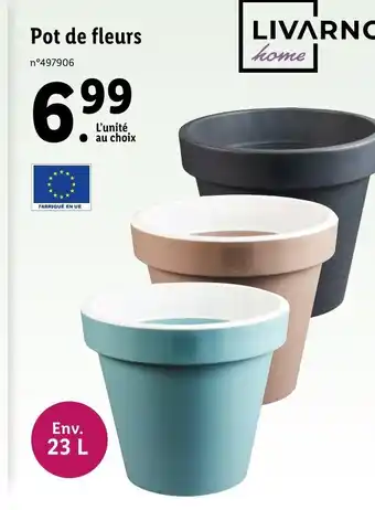 Lidl Pot De Fleurs offre