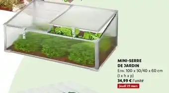 Lidl Mini-Serre De Jardin offre
