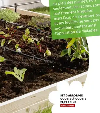 Lidl Set d'Arrosage Goutte-à-Goutte offre