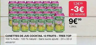 Costco Canettes de jus cocktail 12 fruits - tree top offre