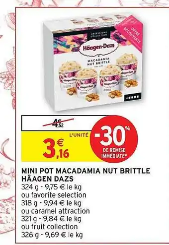 Intermarché Mini pot macadamia nut brittle häagen dazs offre