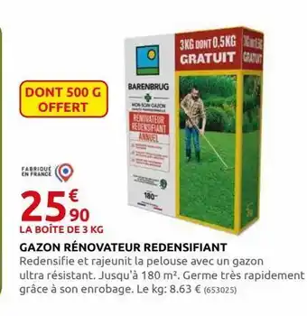 Gazon renovateur redensifiant